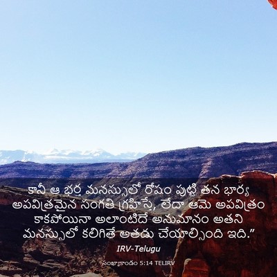 Picture 03 - సంఖ్యాకాండం 5:14 TELIRV - కానీ ఆ భర్త - Bible Verse Picture