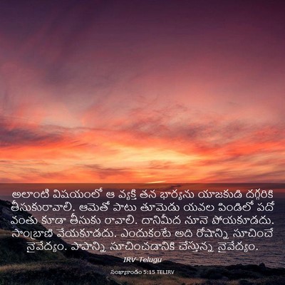 Picture 03 - సంఖ్యాకాండం 5:15 TELIRV - అలాంటి విషయంలో ఆ - Bible Verse Picture