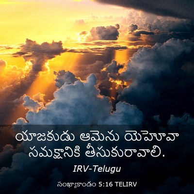 Picture 03 - సంఖ్యాకాండం 5:16 TELIRV - యాజకుడు ఆమెను - Bible Verse Picture
