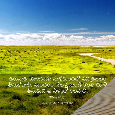 Picture 03 - సంఖ్యాకాండం 5:17 TELIRV - తరువాత యాజకుడు - Bible Verse Picture
