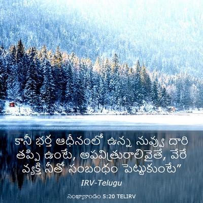 Picture 03 - సంఖ్యాకాండం 5:20 TELIRV - కానీ భర్త ఆధీనంలో - Bible Verse Picture