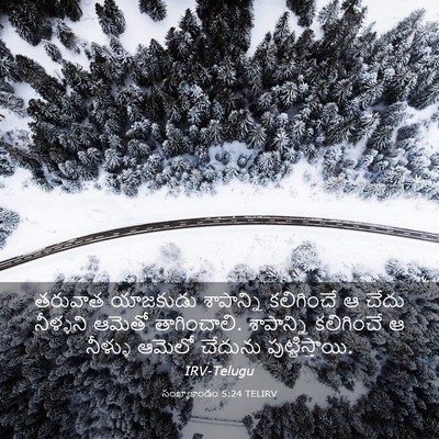 Picture 03 - సంఖ్యాకాండం 5:24 TELIRV - తరువాత యాజకుడు - Bible Verse Picture