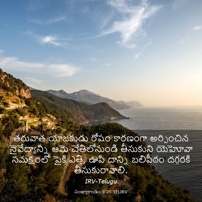 Picture 03 - సంఖ్యాకాండం 5:25 TELIRV - తరువాత యాజకుడు - Bible Verse Picture