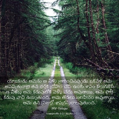 Picture 03 - సంఖ్యాకాండం 5:27 TELIRV - యాజకుడు ఆమెకు ఆ - Bible Verse Picture
