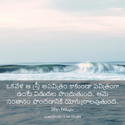 Picture 03 - సంఖ్యాకాండం 5:28 TELIRV - ఒకవేళ ఆ స్త్రీ - Bible Verse Picture
