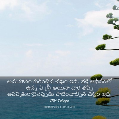 Picture 03 - సంఖ్యాకాండం 5:29 TELIRV - అనుమానం గురించిన - Bible Verse Picture