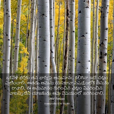 Picture 03 - సంఖ్యాకాండం 5:30 TELIRV - ఒకవేళ భర్తకు తన - Bible Verse Picture