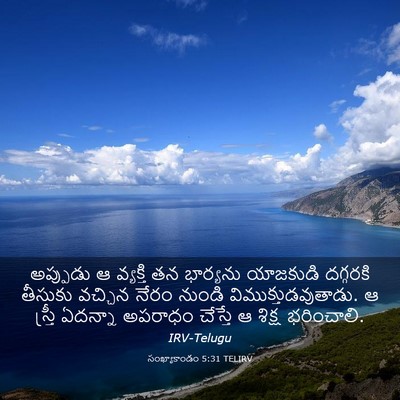 Picture 03 - సంఖ్యాకాండం 5:31 TELIRV - అప్పుడు ఆ వ్యక్తి - Bible Verse Picture