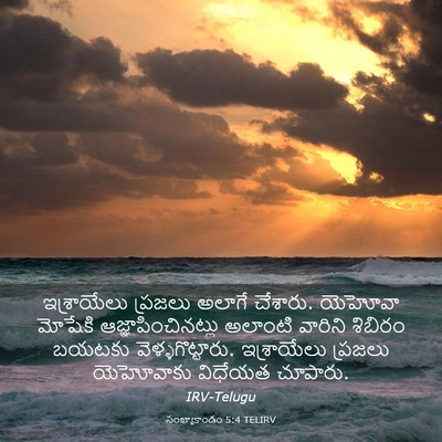 Picture 03 - సంఖ్యాకాండం 5:4 TELIRV - ఇశ్రాయేలు ప్రజలు - Bible Verse Picture