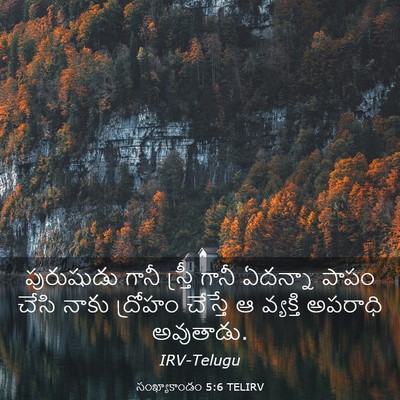 Picture 03 - సంఖ్యాకాండం 5:6 TELIRV - పురుషుడు గానీ - Bible Verse Picture