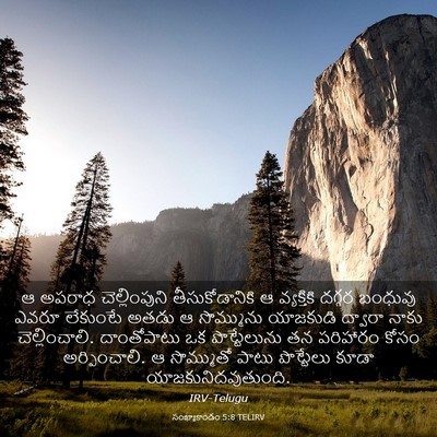 Picture 03 - సంఖ్యాకాండం 5:8 TELIRV - ఆ అపరాధ - Bible Verse Picture