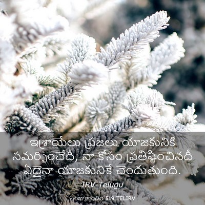 Picture 03 - సంఖ్యాకాండం 5:9 TELIRV - ఇశ్రాయేలు ప్రజలు - Bible Verse Picture