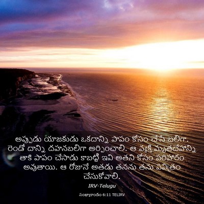 Picture 03 - సంఖ్యాకాండం 6:11 TELIRV - అప్పుడు యాజకుడు - Bible Verse Picture