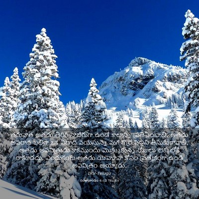 Picture 03 - సంఖ్యాకాండం 6:12 TELIRV - తరువాత అతడు - Bible Verse Picture