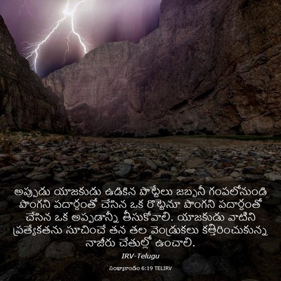 Picture 03 - సంఖ్యాకాండం 6:19 TELIRV - అప్పుడు యాజకుడు - Bible Verse Picture