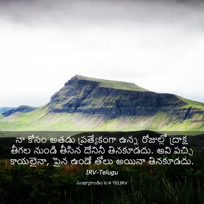 Picture 03 - సంఖ్యాకాండం 6:4 TELIRV - నా కోసం అతడు - Bible Verse Picture