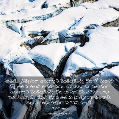 Picture 03 - సంఖ్యాకాండం 6:5 TELIRV - అతడు ప్రత్యేకంగా - Bible Verse Picture