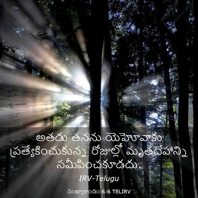 Picture 03 - సంఖ్యాకాండం 6:6 TELIRV - అతడు తనను - Bible Verse Picture