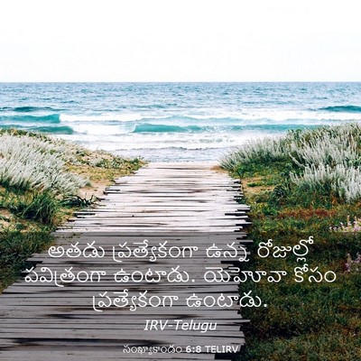Picture 03 - సంఖ్యాకాండం 6:8 TELIRV - అతడు ప్రత్యేకంగా - Bible Verse Picture