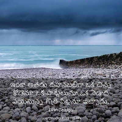 Picture 03 - సంఖ్యాకాండం 7:15 TELIRV - ఇంకా అతడు - Bible Verse Picture