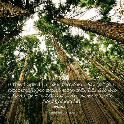 Picture 03 - సంఖ్యాకాండం 7:2 TELIRV - ఆ రోజునే - Bible Verse Picture
