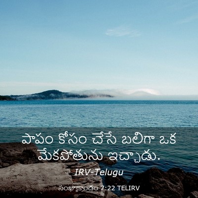 Picture 03 - సంఖ్యాకాండం 7:22 TELIRV - పాపం కోసం చేసే - Bible Verse Picture