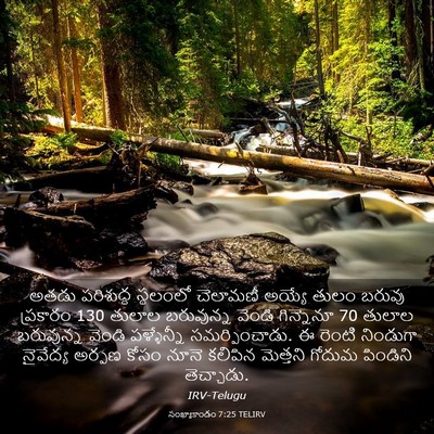 Picture 03 - సంఖ్యాకాండం 7:25 TELIRV - అతడు పరిశుద్ధ - Bible Verse Picture