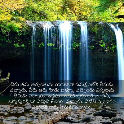 Picture 03 - సంఖ్యాకాండం 7:3 TELIRV - వీరు తమ అర్పణలను - Bible Verse Picture