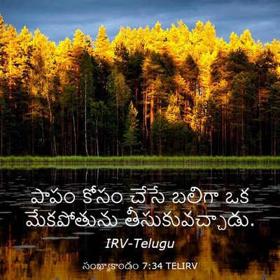 Picture 03 - సంఖ్యాకాండం 7:34 TELIRV - పాపం కోసం చేసే - Bible Verse Picture
