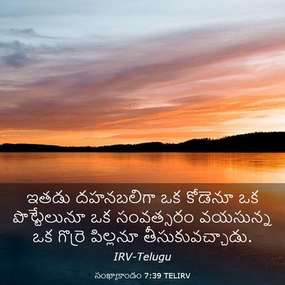 Picture 03 - సంఖ్యాకాండం 7:39 TELIRV - ఇతడు దహనబలిగా ఒక - Bible Verse Picture