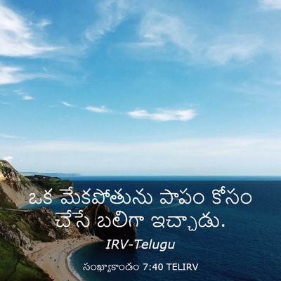 Picture 03 - సంఖ్యాకాండం 7:40 TELIRV - ఒక మేకపోతును పాపం - Bible Verse Picture