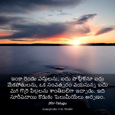 Picture 03 - సంఖ్యాకాండం 7:41 TELIRV - ఇంకా రెండు - Bible Verse Picture
