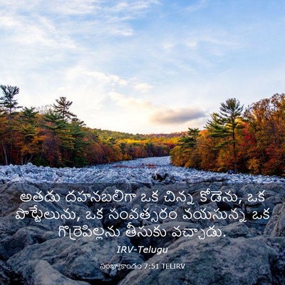 Picture 03 - సంఖ్యాకాండం 7:51 TELIRV - అతడు దహనబలిగా ఒక - Bible Verse Picture