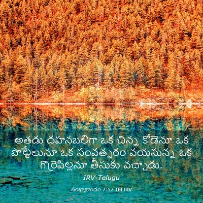 Picture 03 - సంఖ్యాకాండం 7:57 TELIRV - అతడు దహనబలిగా ఒక - Bible Verse Picture