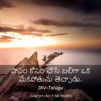 Picture 03 - సంఖ్యాకాండం 7:58 TELIRV - పాపం కోసం చేసే - Bible Verse Picture