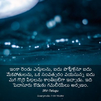Picture 03 - సంఖ్యాకాండం 7:59 TELIRV - ఇంకా రెండు - Bible Verse Picture