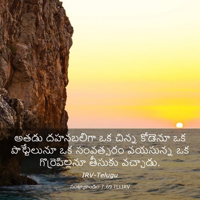 Picture 03 - సంఖ్యాకాండం 7:69 TELIRV - అతడు దహనబలిగా ఒక - Bible Verse Picture