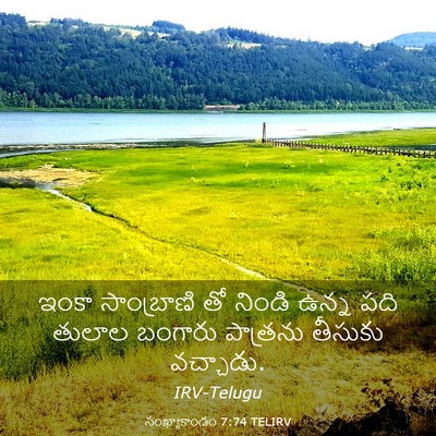 Picture 03 - సంఖ్యాకాండం 7:74 TELIRV - ఇంకా సాంబ్రాణి తో - Bible Verse Picture