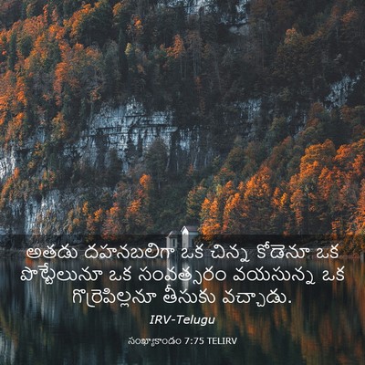 Picture 03 - సంఖ్యాకాండం 7:75 TELIRV - అతడు దహనబలిగా ఒక - Bible Verse Picture