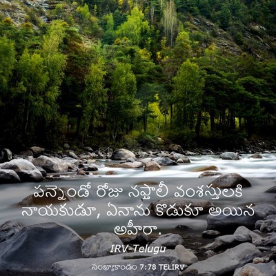 Picture 03 - సంఖ్యాకాండం 7:78 TELIRV - పన్నెండో రోజు - Bible Verse Picture