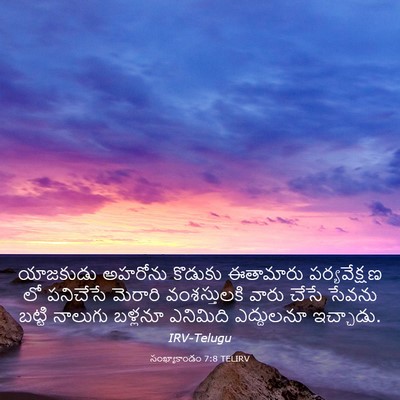 Picture 03 - సంఖ్యాకాండం 7:8 TELIRV - యాజకుడు అహరోను - Bible Verse Picture