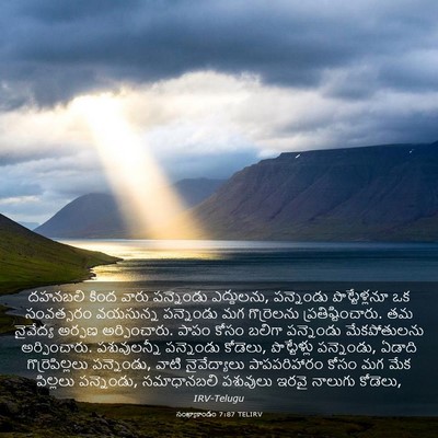 Picture 03 - సంఖ్యాకాండం 7:87 TELIRV - దహనబలి కింద వారు - Bible Verse Picture