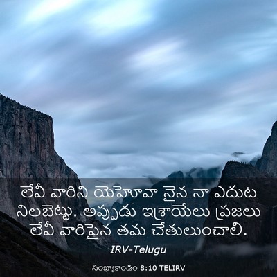 Picture 03 - సంఖ్యాకాండం 8:10 TELIRV - లేవీ వారిని - Bible Verse Picture