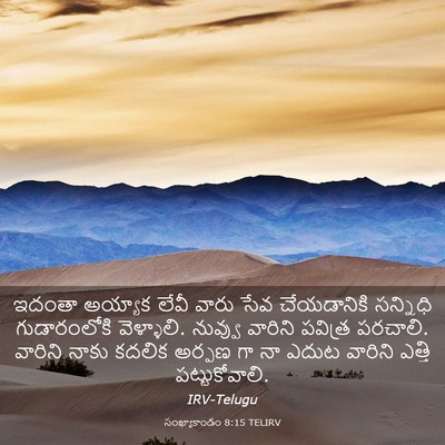 Picture 03 - సంఖ్యాకాండం 8:15 TELIRV - ఇదంతా అయ్యాక లేవీ - Bible Verse Picture