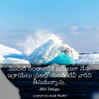 Picture 03 - సంఖ్యాకాండం 8:18 TELIRV - మొదటి సంతానానికి - Bible Verse Picture