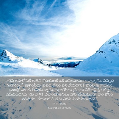 Picture 03 - సంఖ్యాకాండం 8:19 TELIRV - వారిని అహరోనుకీ - Bible Verse Picture