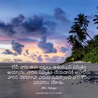 Picture 03 - సంఖ్యాకాండం 8:21 TELIRV - లేవీ వారు తమ - Bible Verse Picture