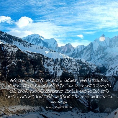 Picture 03 - సంఖ్యాకాండం 8:22 TELIRV - తరువాత లేవీ వారు - Bible Verse Picture