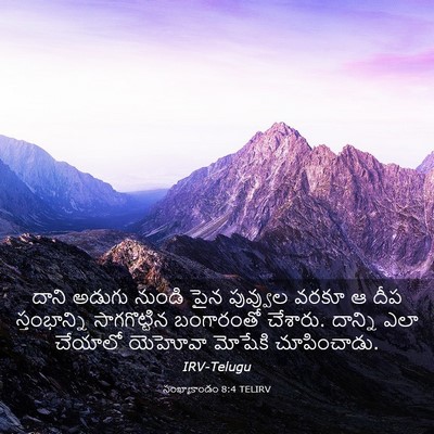 Picture 03 - సంఖ్యాకాండం 8:4 TELIRV - దాని అడుగు నుండి - Bible Verse Picture
