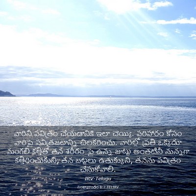 Picture 03 - సంఖ్యాకాండం 8:7 TELIRV - వారిని పవిత్రం - Bible Verse Picture